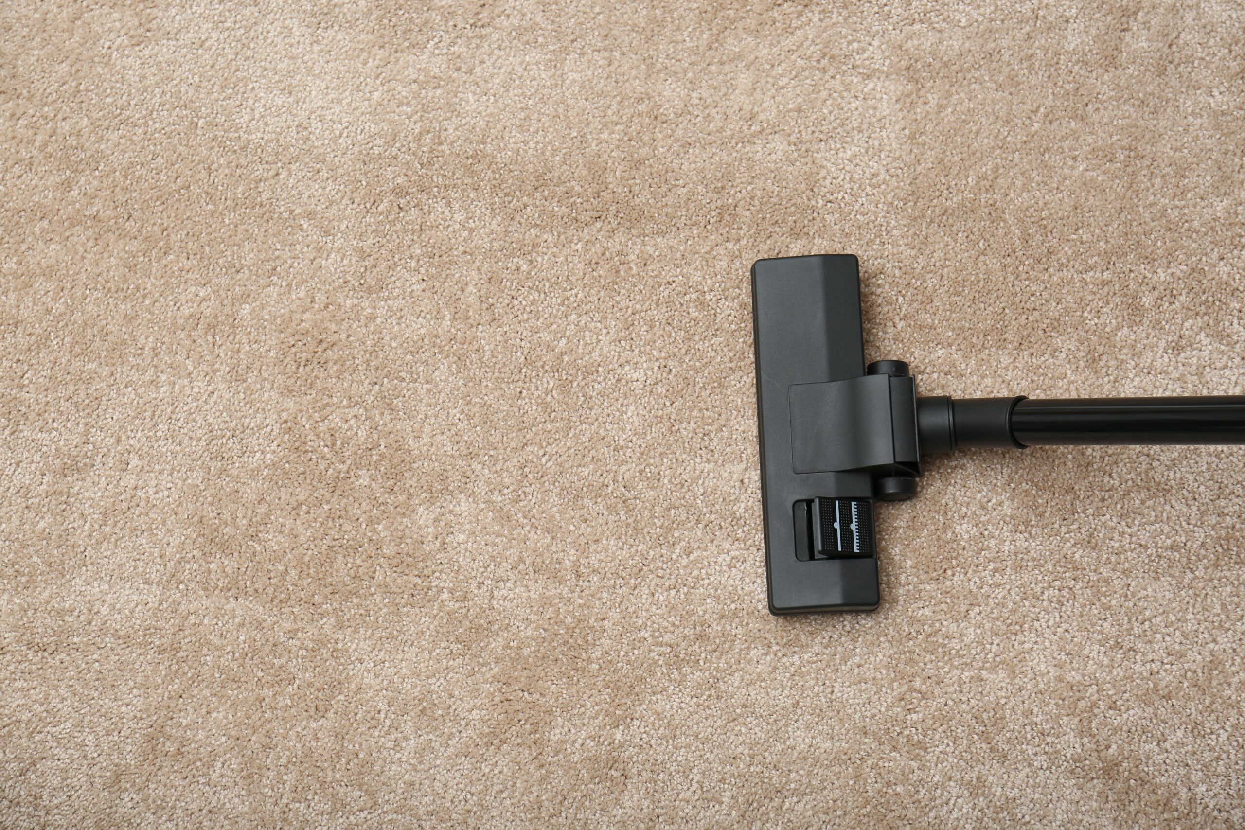 Best Vacuum for Carpet