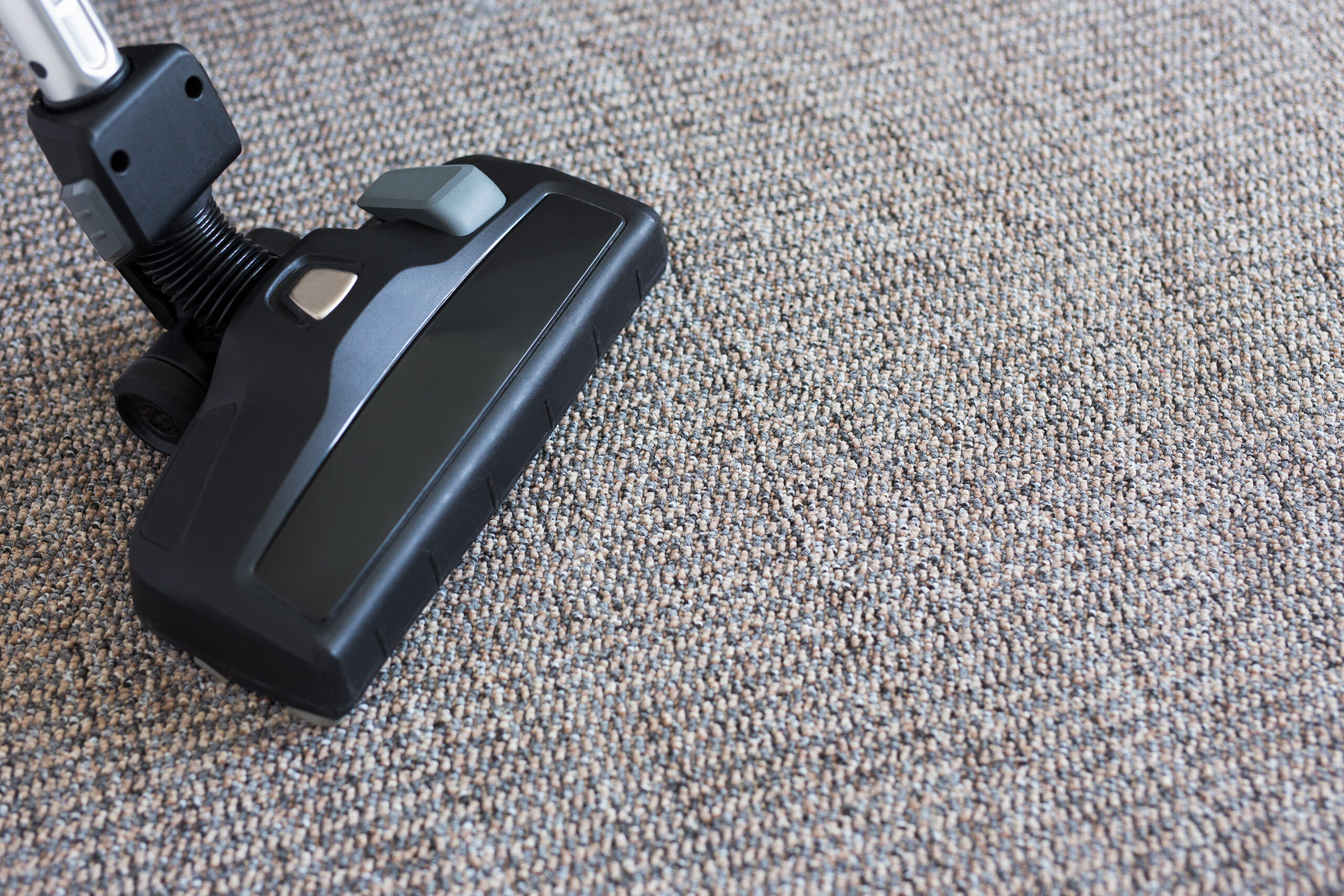 How Often Should You Vacuum Carpet