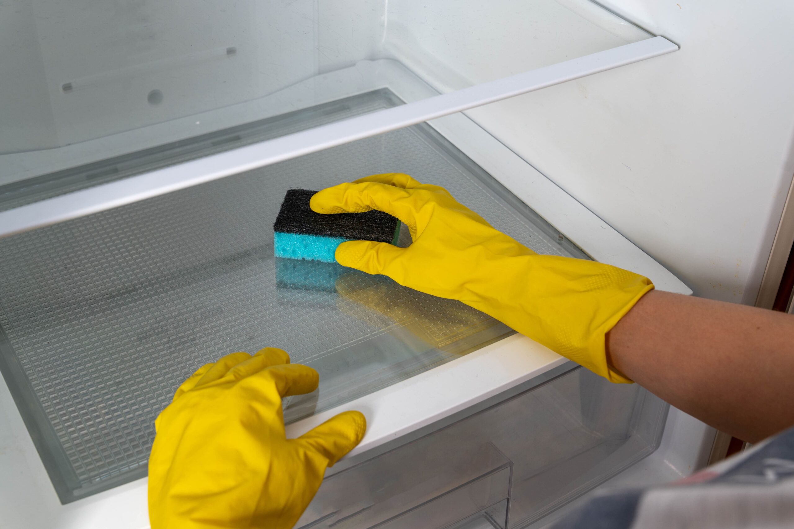 Clean a Refrigerator
