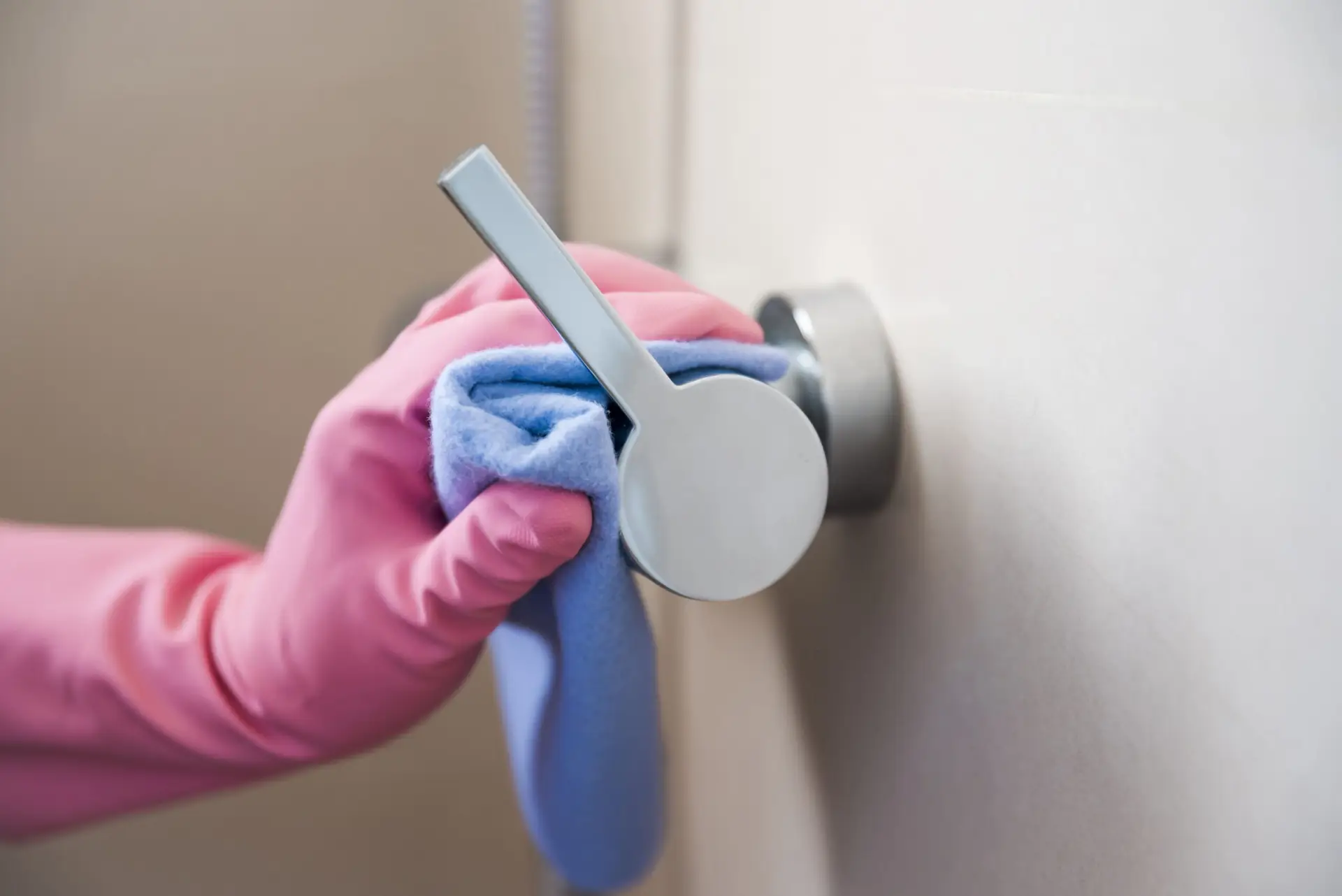 Clean Door Handles