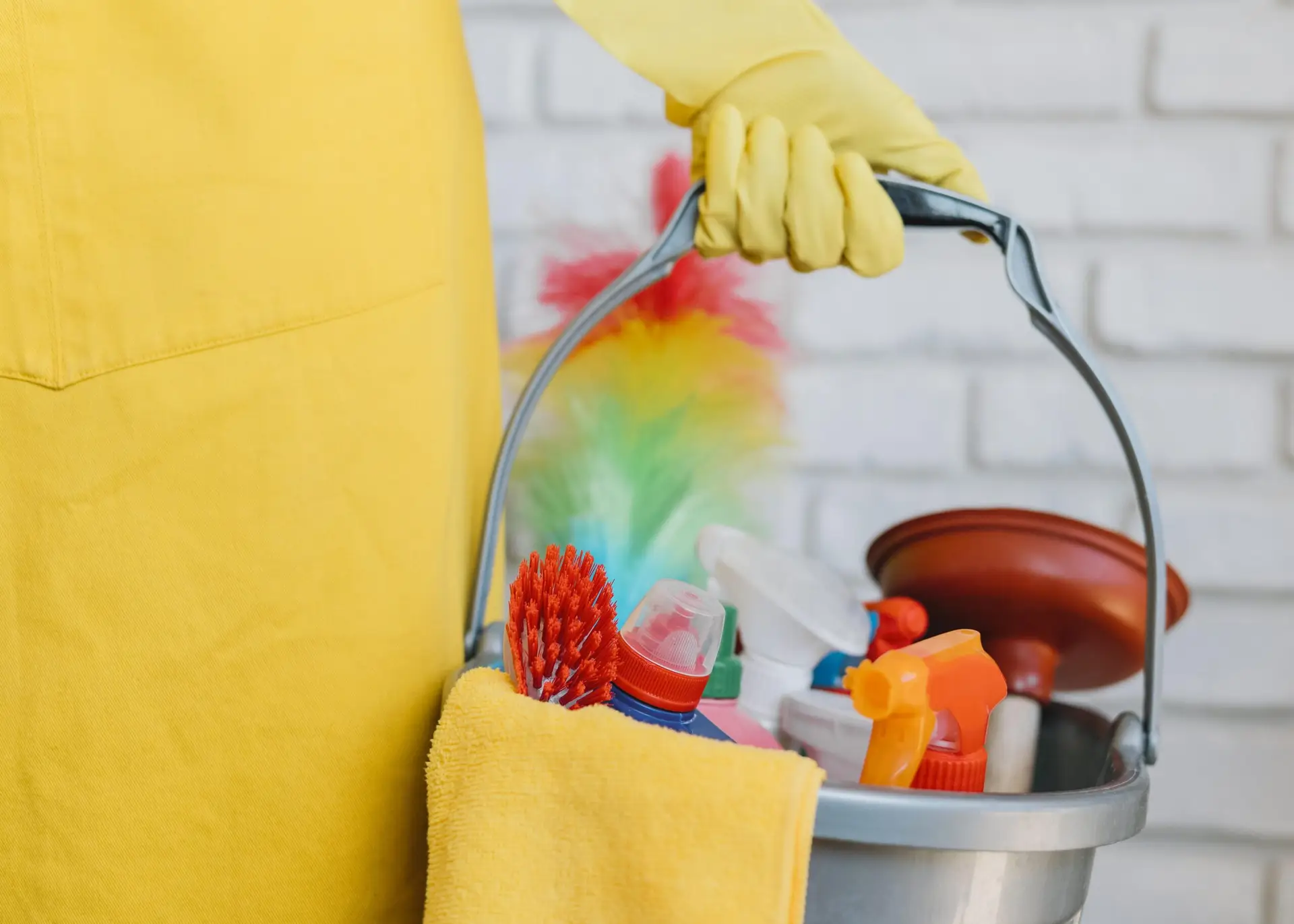 How to Remove Pet Odors From Your Home
