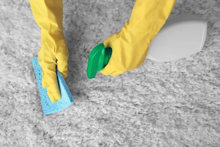 How to Clean Carpet Without a Vacuum? Manual Methods for a Fresh Home
